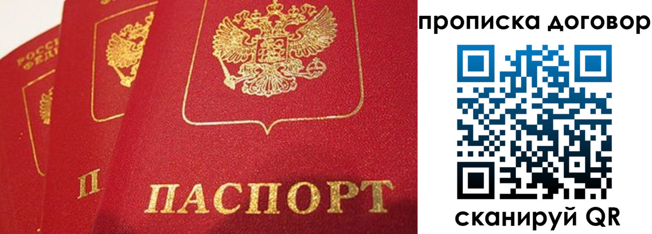 найти адрес прописки в Вышнем Волочке